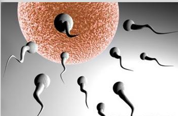 男性該如何對抗死精癥?