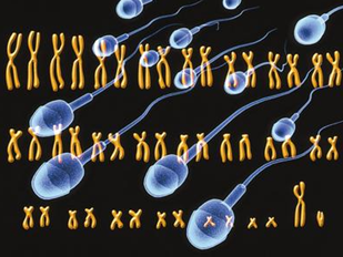 射出的精液少是因為什么原因?