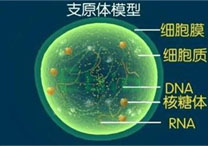 齊齊哈爾男科醫(yī)院