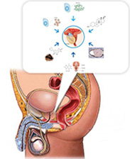 齊齊哈爾男科醫院